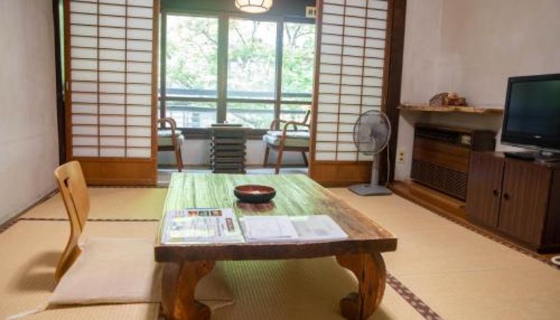 Camera standard - Houshi Onsen Chojukan