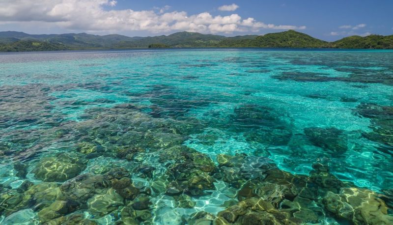 Info - Matava - Fiji...Untouched