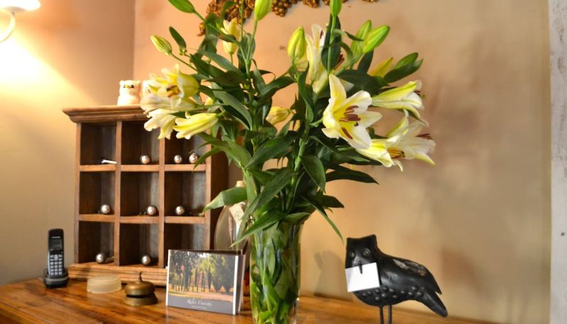Recepción - Relais Ciavatta Country Hotel