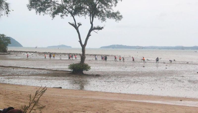 Playa - Baan Panwa Resort&Spa