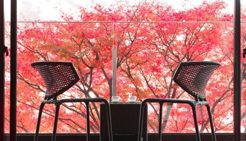 Widok - Kanaya Hotel Kinugawa