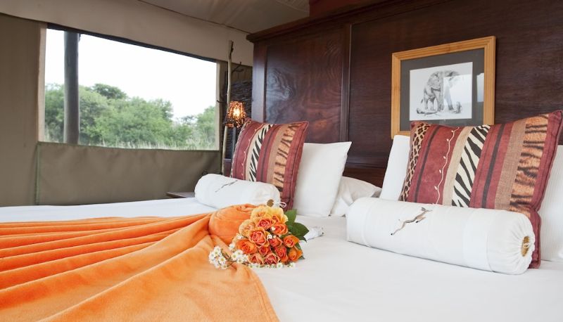 Superior room (double) - The Springbok Lodge