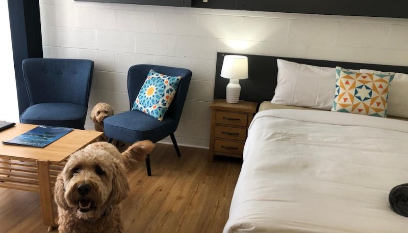 Standardzimmer - South House Hotel