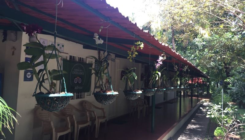 Terrazza - Palm Grove Service Villa
