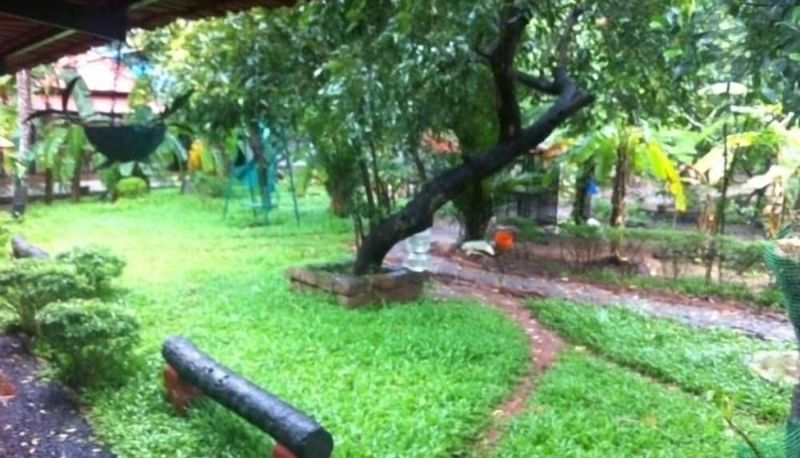 Giardino - Palm Grove Service Villa