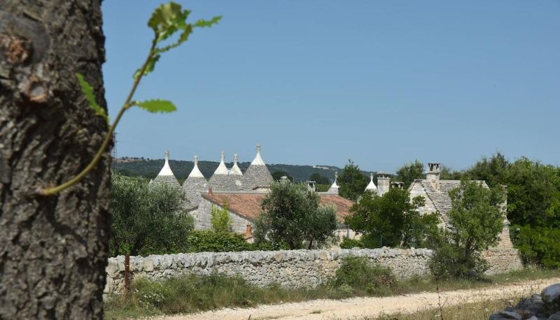 Zona exterior del hotel - Vacanza in Puglia