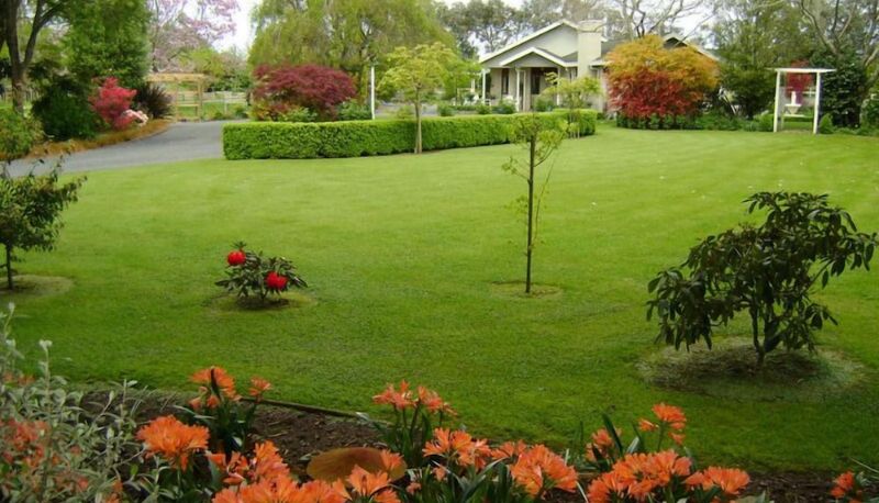 Jardín - Somersal Bed & Breakfast