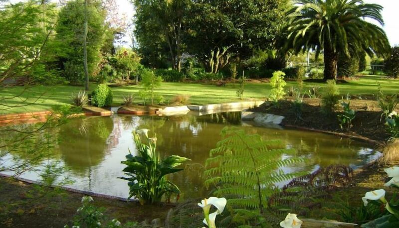 Jardín - Somersal Bed & Breakfast