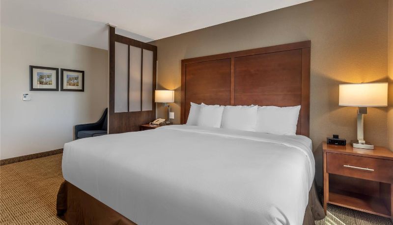 Suite - Comfort Inn & Suites Aztec - Farmington Area