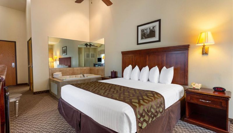 Camera - Trademark by Wyndham Montcler Hotel & Conference Center