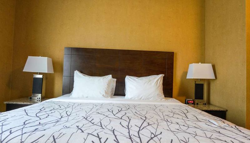 Camera - Best Western Plus South Edmonton Inn & Suites