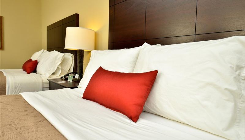 Zimmer - Best Western Plus Louisa