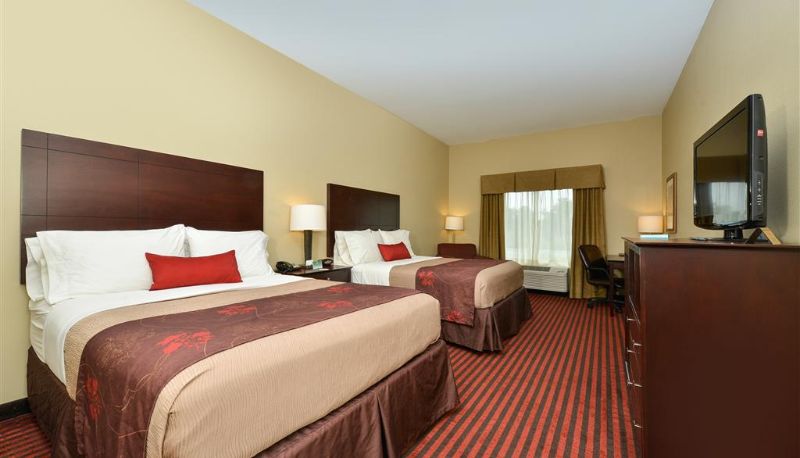 Zimmer - Best Western Plus Louisa