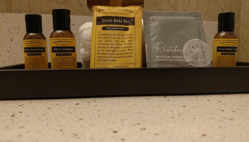 Zimmer - Best Western Plus Dayton Hotel & Suites