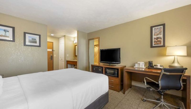 Zimmer - Comfort Inn Lexington