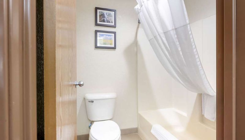 Room - Comfort Inn Lexington