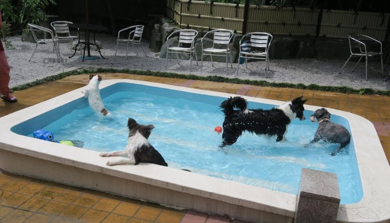 Piscine - Kinugawa Kokusai Hotel