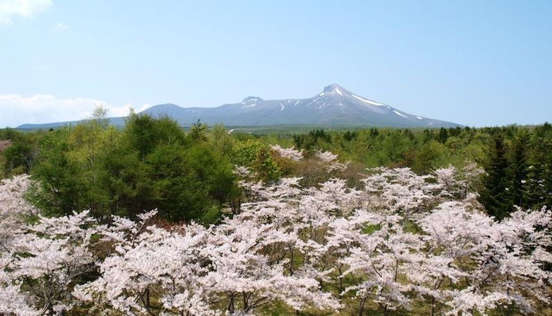 Appartamento - Royal Hotel MINAMI HOKKAIDO SHIKABE