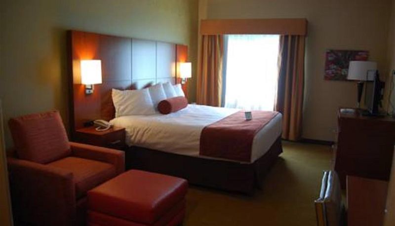 Zimmer - Best Western Plus Finger Lakes Inn & Suites