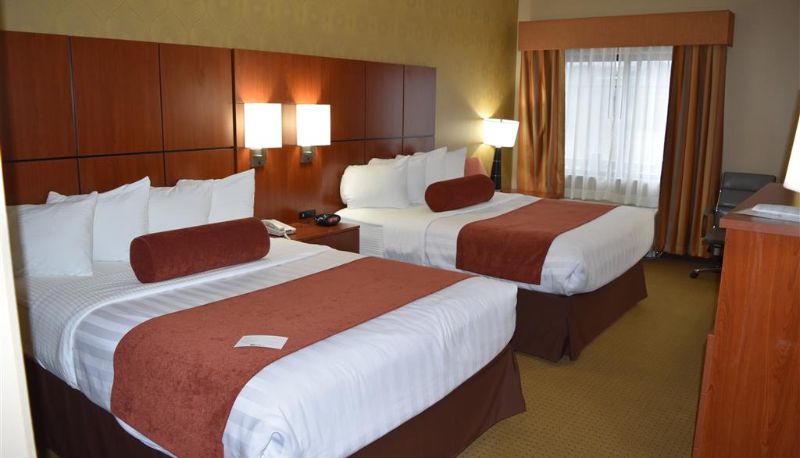 Zimmer - Best Western Plus Finger Lakes Inn & Suites
