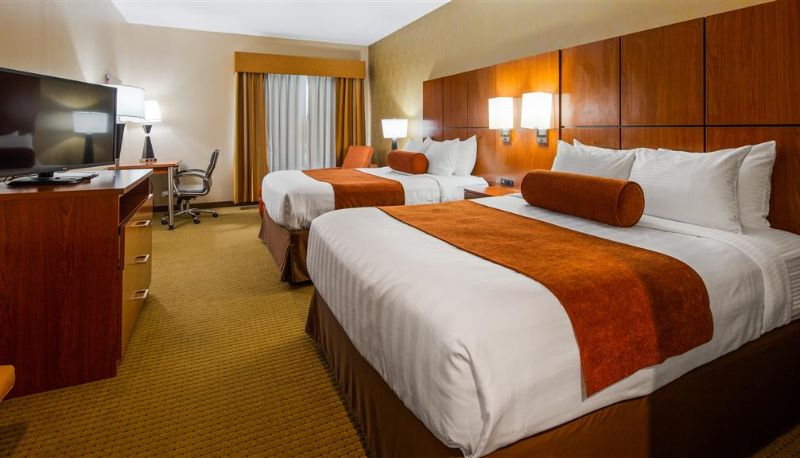 Zimmer - Best Western Plus Finger Lakes Inn & Suites