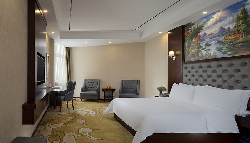 Kamer - Vienna classic Hotel (Changsha Normal University Hotel)