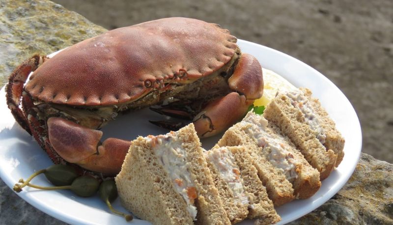 Restaurant - The Bay Horse Hotel and Restaurant