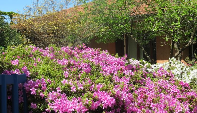 Jardin - B&B Tana della Volpe
