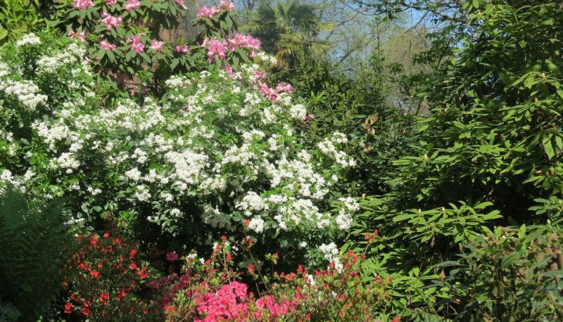 Jardin - B&B Tana della Volpe