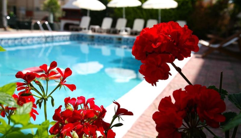 Bilgi - Olympus Hotel Villa Drosos