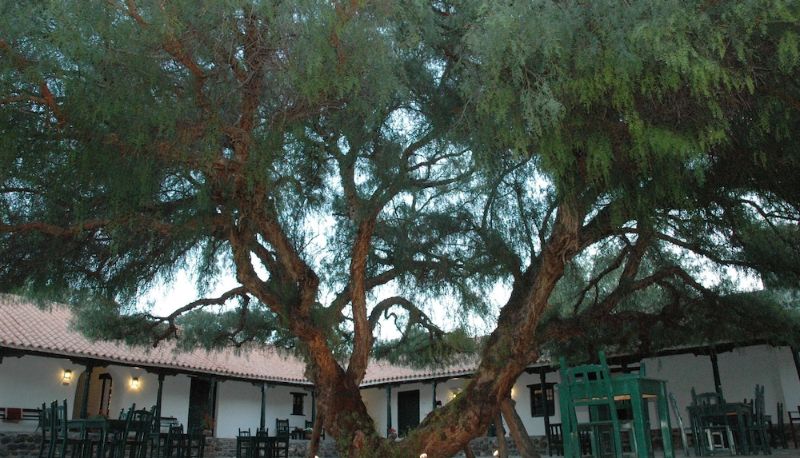 Restauracja - Hacienda de Molinos