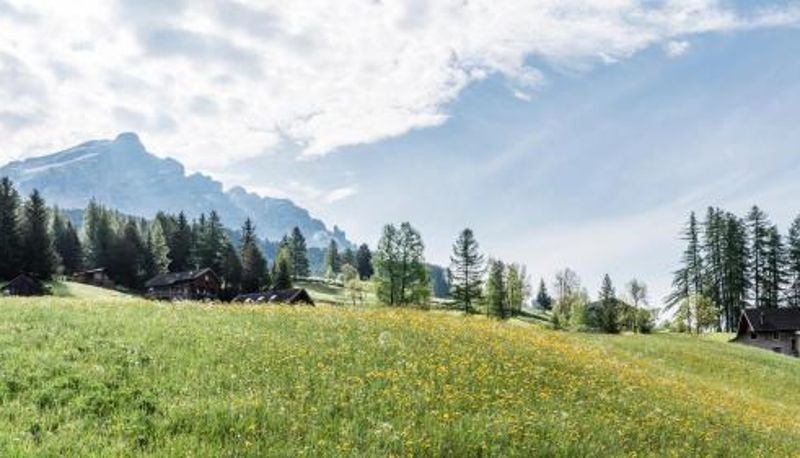 Bilgi - Miraval NaturHotel