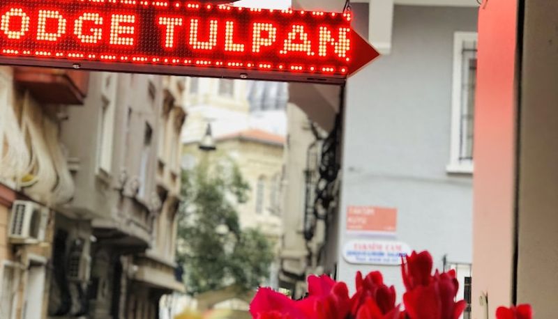 Info - The House of Tulpan