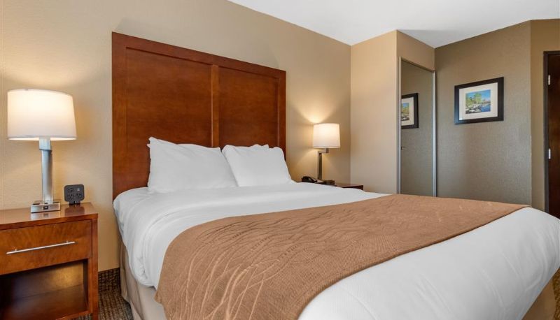 Zimmer - Comfort Inn & Suites South Hill I-85