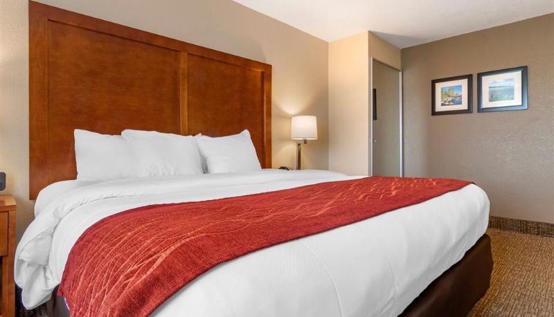 Zimmer - Comfort Inn & Suites South Hill I-85