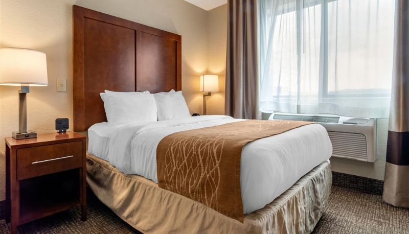Zimmer - Comfort Inn & Suites South Hill I-85