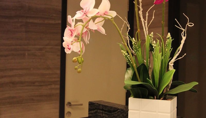 Reception - Grandis Hotel