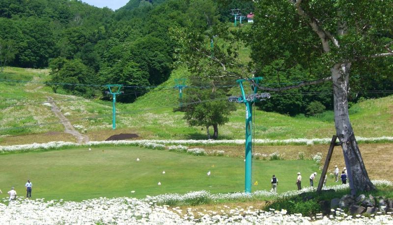 Bilgi - Okutone Onsen Hotel Sunbird