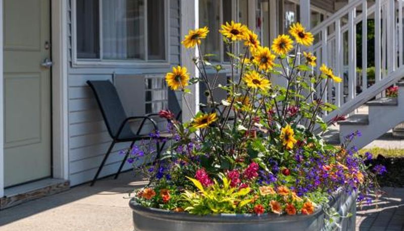 Informacje - Bar Harbor Villager Motel - Downtown