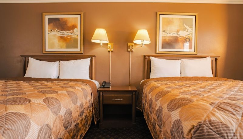 Camera standard - Fauld's Motel