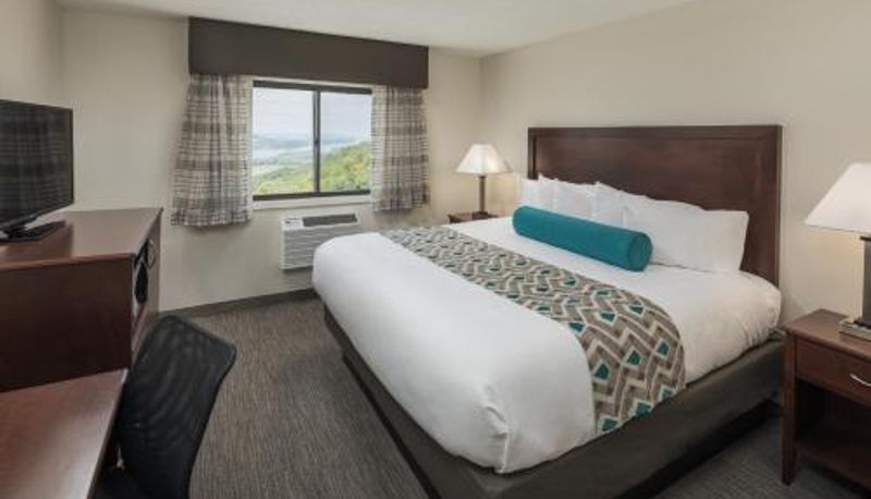 Camera - Chestnut Mountain Resort