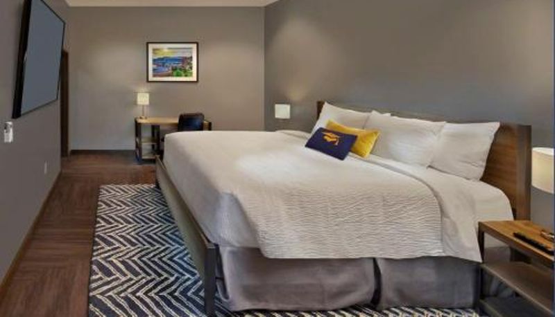 Habitación - Scholar Morgantown Tapestry Collection by Hilton