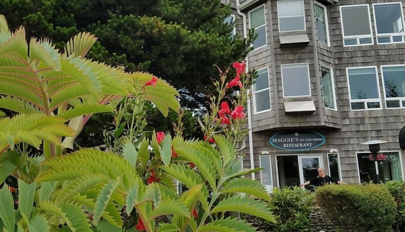 Bilgi - Seaside Oceanfront Inn
