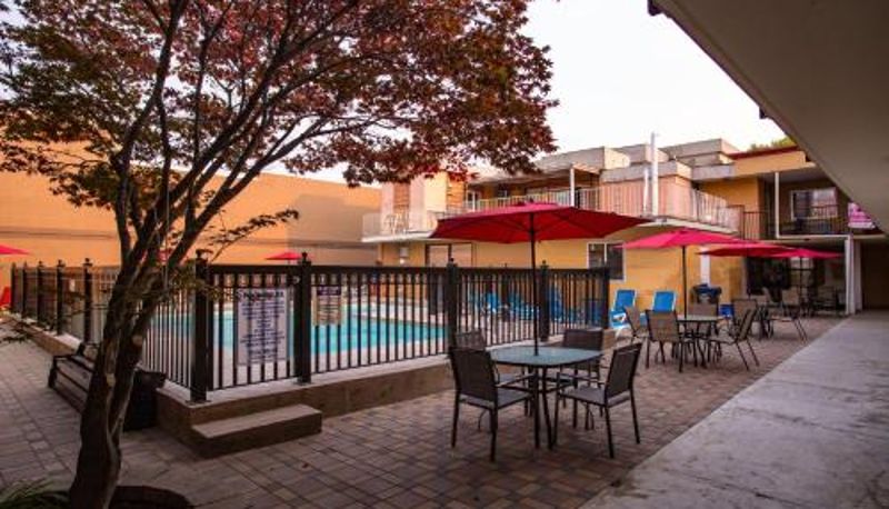 Piscina - Sahara Courtyard Inn Penticton