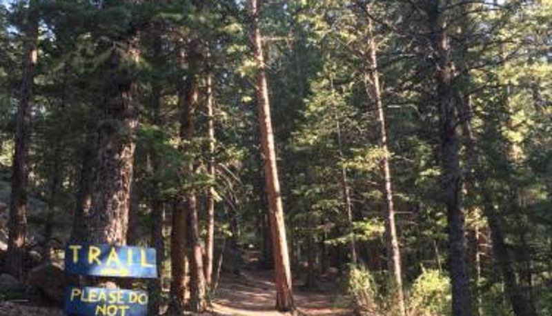 Info - Pine Haven Resort