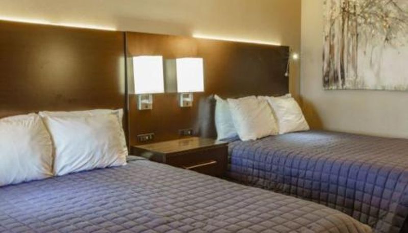 Bilgi - Shady Acre Inn and Suites