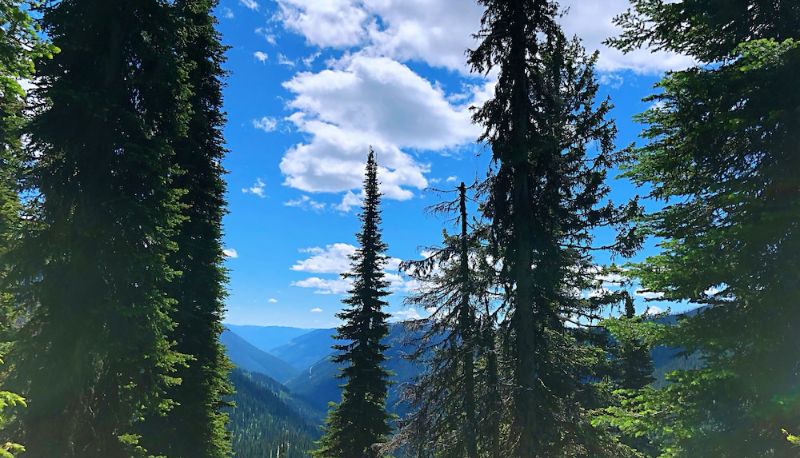 Strutture sportive - Kokanee Glacier Resort