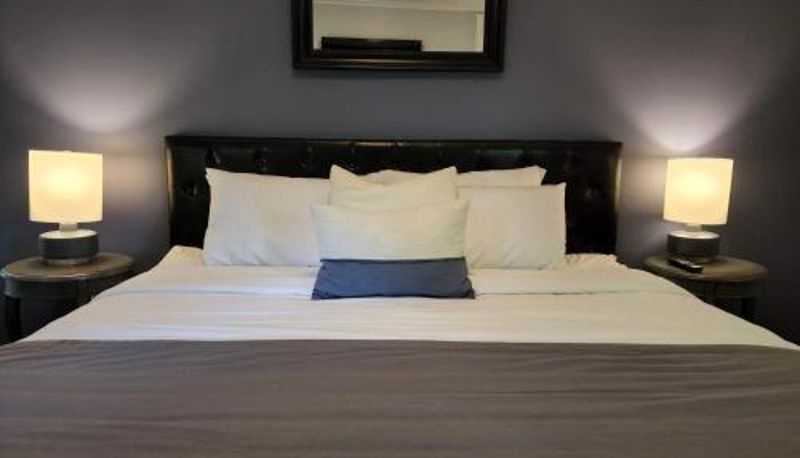Suite - Little Fig Hotel