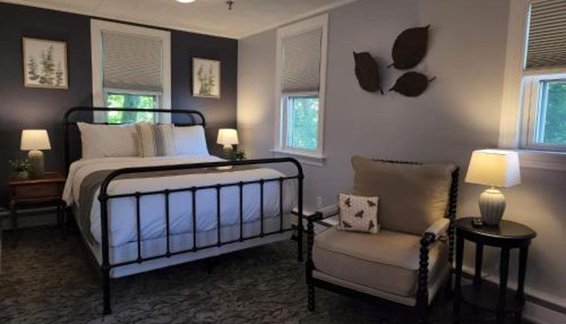Suite - Little Fig Hotel