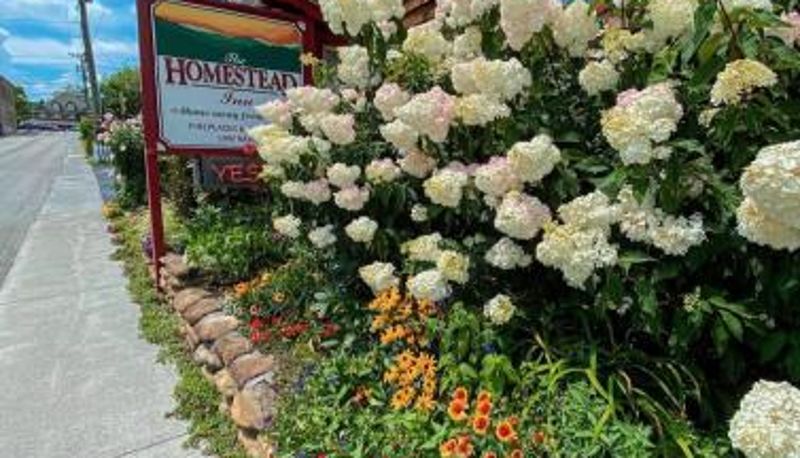Informação - Homestead Inn - Blowing Rock